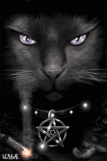 Gif animé gothique chat